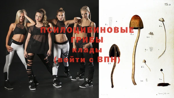 таблы Заводоуковск