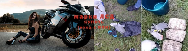 гидра Заволжье